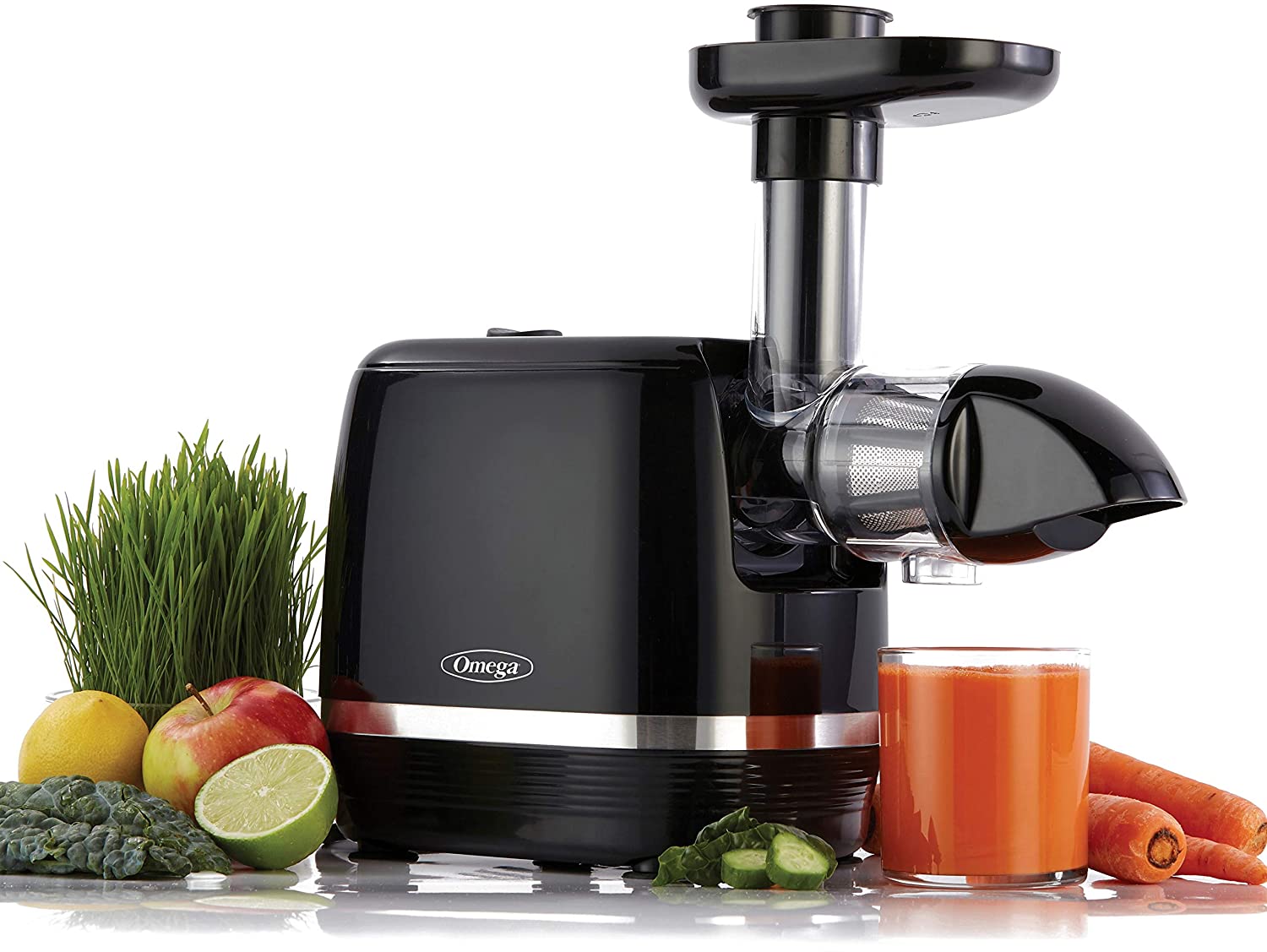 Omega H3000D Juicer